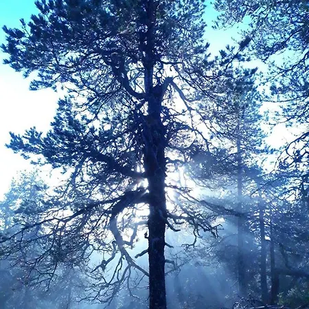 Kelokallas 2 Ruka